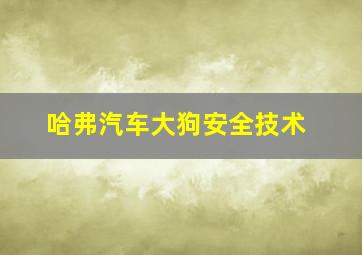 哈弗汽车大狗安全技术