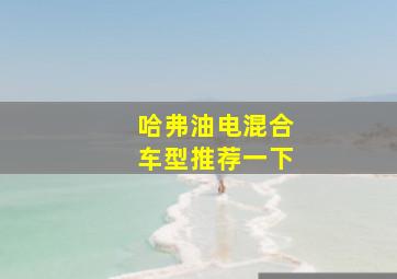 哈弗油电混合车型推荐一下