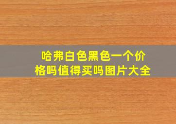 哈弗白色黑色一个价格吗值得买吗图片大全