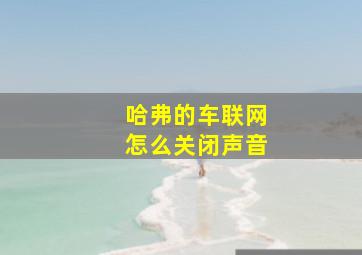 哈弗的车联网怎么关闭声音