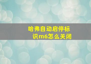 哈弗自动启停标识m6怎么关闭