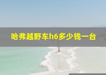 哈弗越野车h6多少钱一台