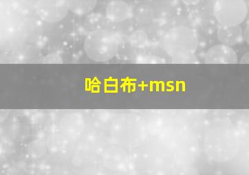 哈白布+msn