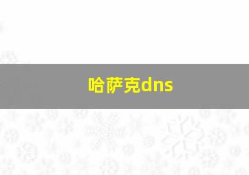 哈萨克dns