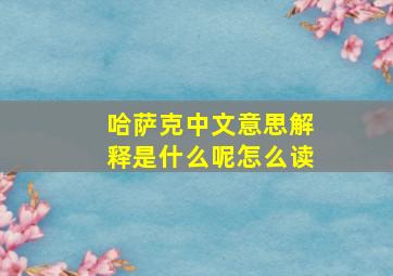 哈萨克中文意思解释是什么呢怎么读