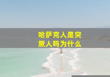 哈萨克人是突厥人吗为什么