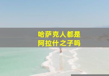 哈萨克人都是阿拉什之子吗