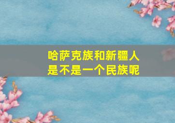 哈萨克族和新疆人是不是一个民族呢