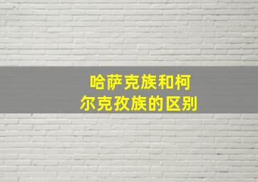 哈萨克族和柯尔克孜族的区别