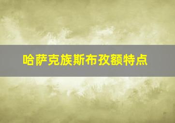 哈萨克族斯布孜额特点