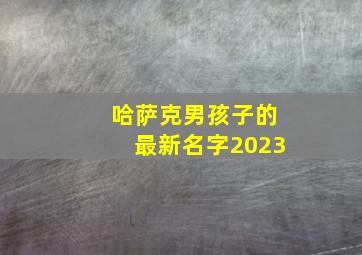 哈萨克男孩子的最新名字2023