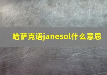 哈萨克语janesol什么意思