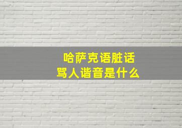 哈萨克语脏话骂人谐音是什么