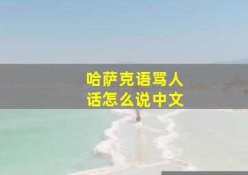 哈萨克语骂人话怎么说中文