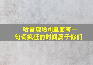 哈雷现场dj里面有一句词疯狂的时间属于你们