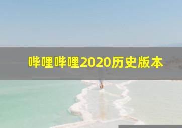 哔哩哔哩2020历史版本