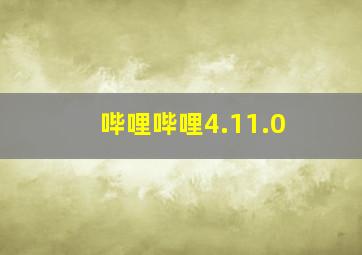 哔哩哔哩4.11.0