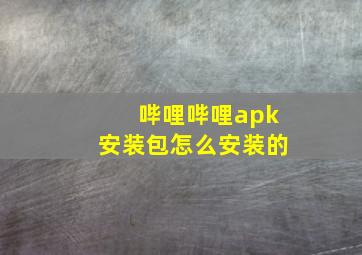 哔哩哔哩apk安装包怎么安装的