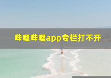 哔哩哔哩app专栏打不开