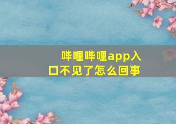 哔哩哔哩app入口不见了怎么回事