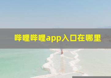 哔哩哔哩app入口在哪里