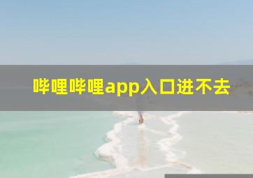 哔哩哔哩app入口进不去