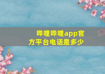 哔哩哔哩app官方平台电话是多少