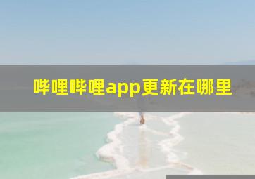 哔哩哔哩app更新在哪里