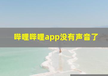 哔哩哔哩app没有声音了