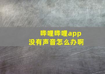 哔哩哔哩app没有声音怎么办啊