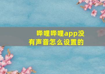 哔哩哔哩app没有声音怎么设置的