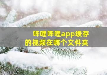 哔哩哔哩app缓存的视频在哪个文件夹