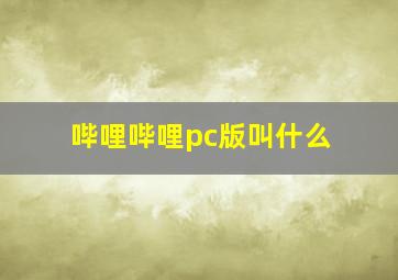 哔哩哔哩pc版叫什么