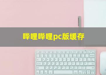 哔哩哔哩pc版缓存