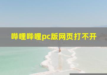 哔哩哔哩pc版网页打不开