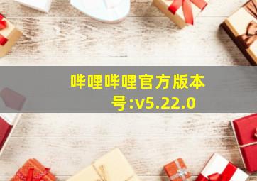 哔哩哔哩官方版本号:v5.22.0