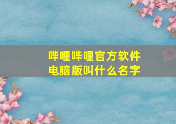 哔哩哔哩官方软件电脑版叫什么名字