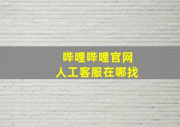 哔哩哔哩官网人工客服在哪找