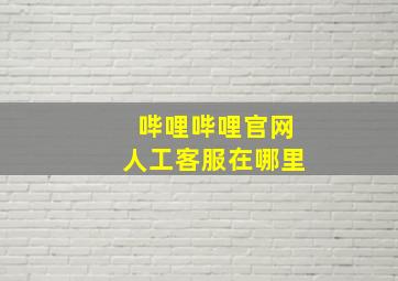 哔哩哔哩官网人工客服在哪里