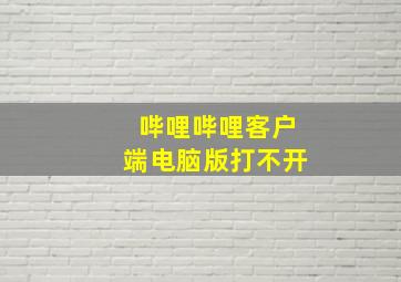 哔哩哔哩客户端电脑版打不开