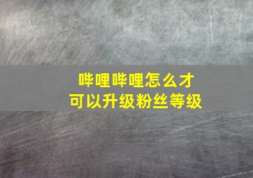 哔哩哔哩怎么才可以升级粉丝等级