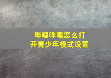 哔哩哔哩怎么打开青少年模式设置