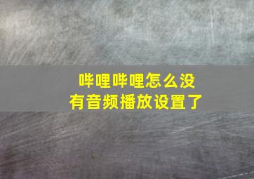 哔哩哔哩怎么没有音频播放设置了