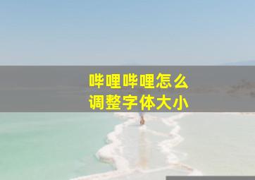 哔哩哔哩怎么调整字体大小