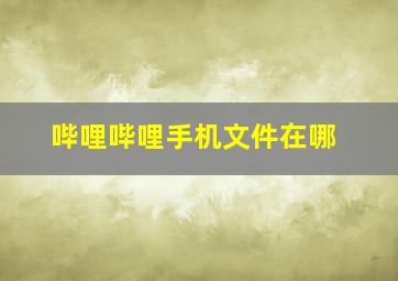 哔哩哔哩手机文件在哪