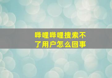 哔哩哔哩搜索不了用户怎么回事