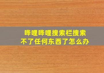 哔哩哔哩搜索栏搜索不了任何东西了怎么办