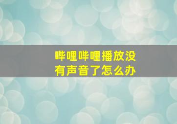 哔哩哔哩播放没有声音了怎么办