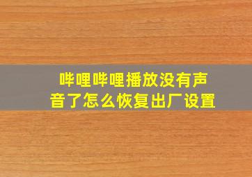 哔哩哔哩播放没有声音了怎么恢复出厂设置