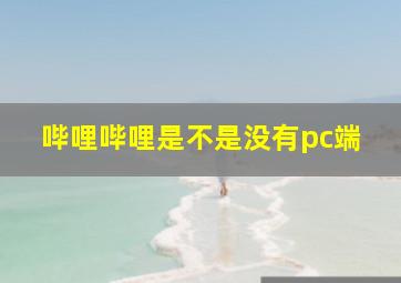 哔哩哔哩是不是没有pc端